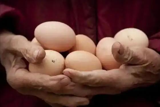 涨8 调查：老人早上常吃鸡蛋，不久后身体或有4个变化