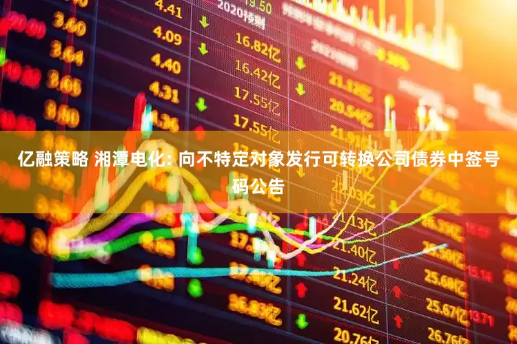 亿融策略 湘潭电化: 向不特定对象发行可转换公司债券中签号码公告