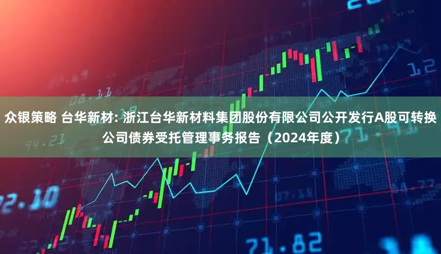 众银策略 台华新材: 浙江台华新材料集团股份有限公司公开发行A股可转换公司债券受托管理事务报告（2024年度）